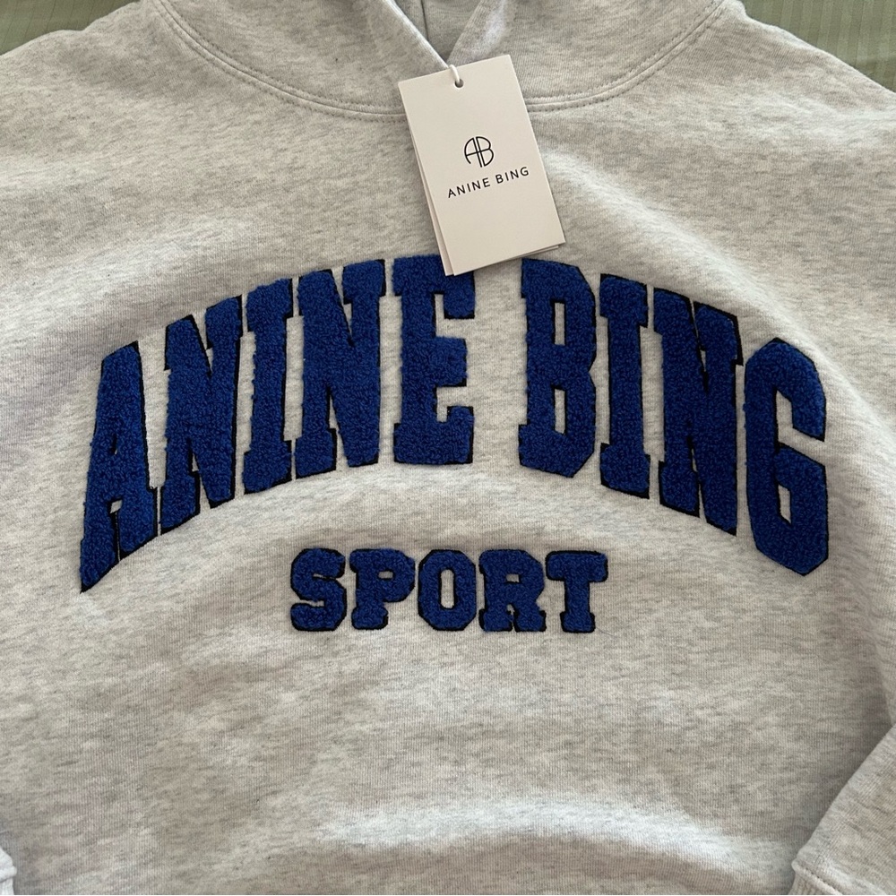 Anine Bing Tyler Hoodie